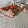 Assiette coquillage corail rouge