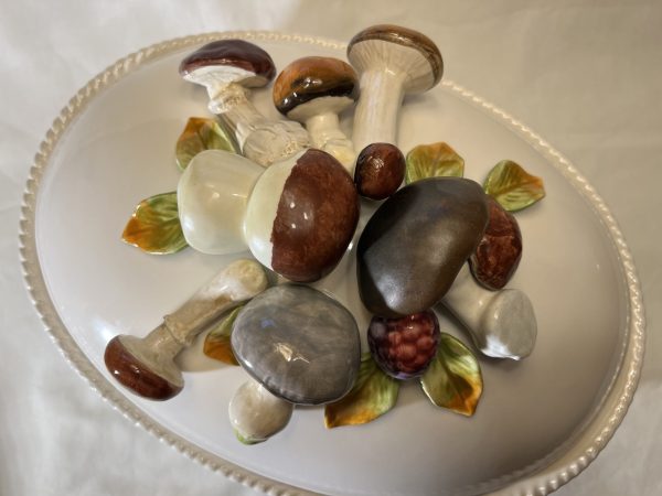 Terrine champignon