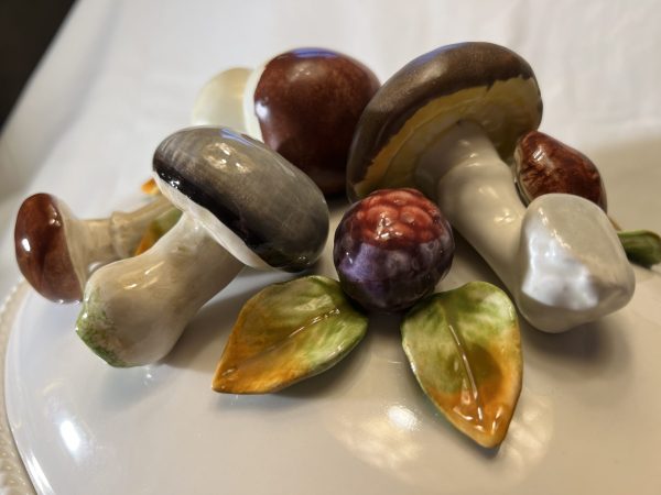 Terrine champignon