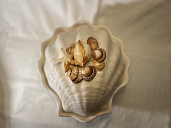 IMG_E0650 Soupière corail beige