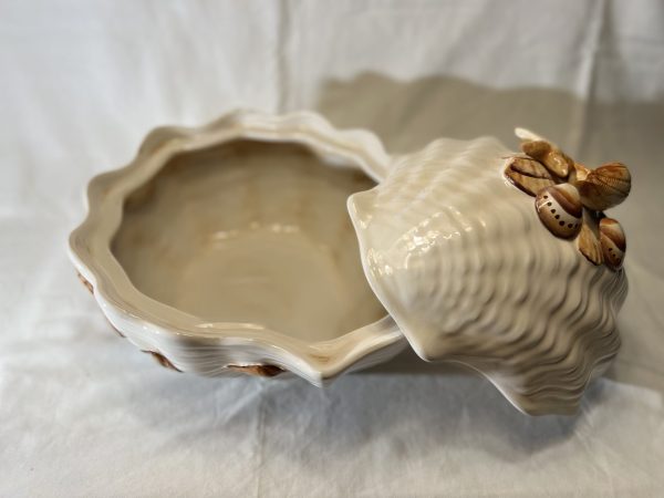 IMG_E0652 Soupière corail beige