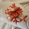 IMG_E0669 Grande terrine moule corail rouge