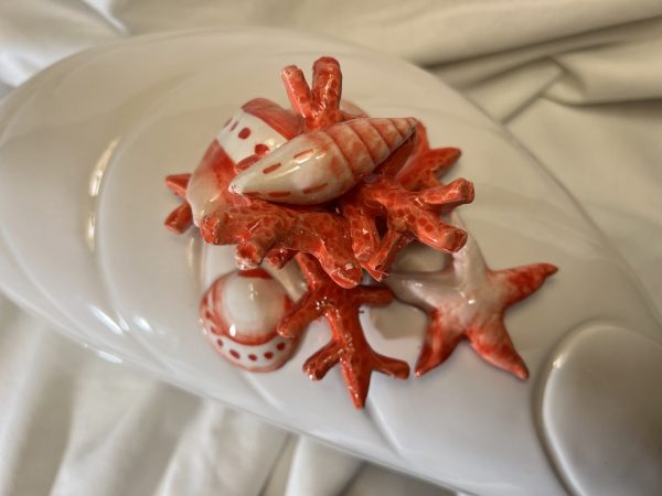 IMG_E0669 Grande terrine moule corail rouge