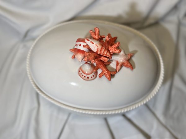 Terrine corail rouge