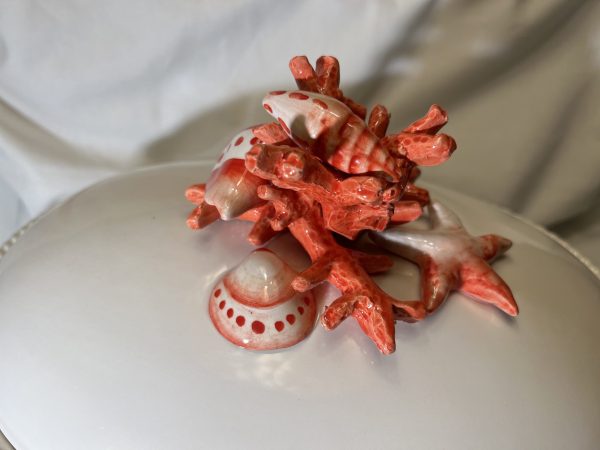 Terrine corail rouge