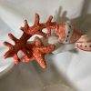 Grand bol corail rouge