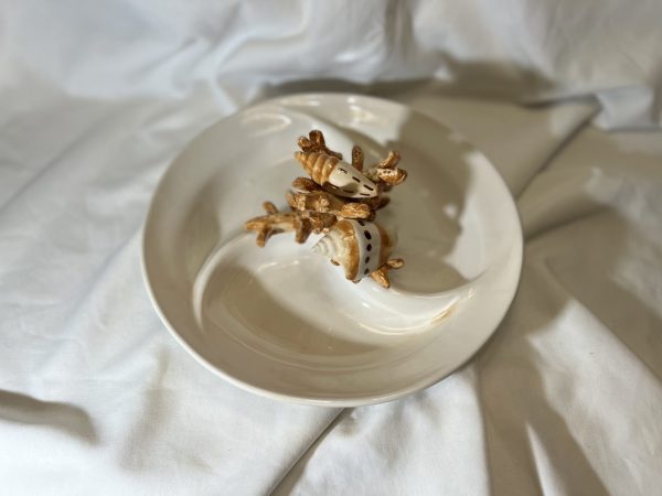 Assiette à tapas corail beige