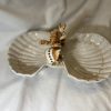 Double coupelle coquillages corail beige
