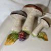 IMG_E0957 champignons