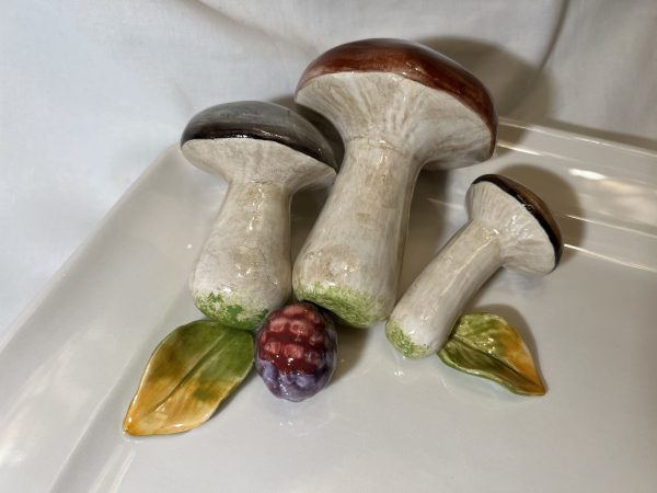 IMG_E0957 champignons