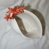 Bol coquillage corail