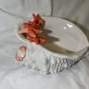 Bol coquillage corail