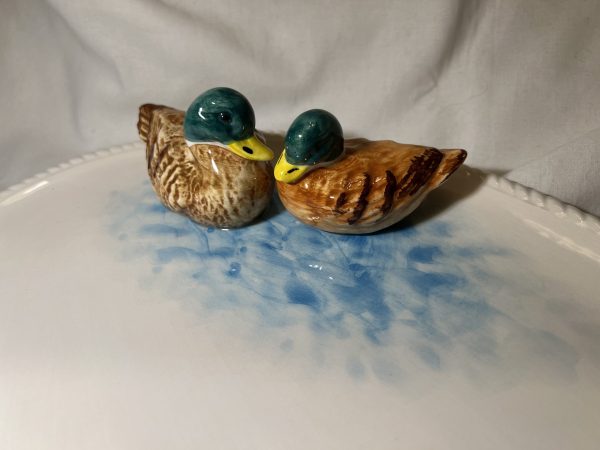 Grand plat canard