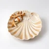 Assiette moyenne corail beige