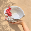 Bol coquillage corail