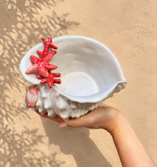 Bol coquillage corail